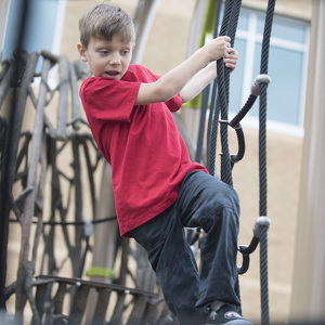 Fundraising Page: Dylan Lepinski